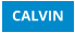 CALVIN