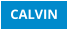 CALVIN