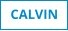 CALVIN