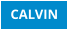 CALVIN